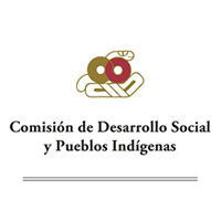 Comisión de Desarrollo Social y Pueblos Indígenas