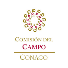 Campo